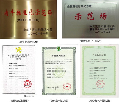 70年歷史國(guó)企推出&ldquo;豚點(diǎn)&rdquo;牛肉 供港品質(zhì)惠及武漢市民