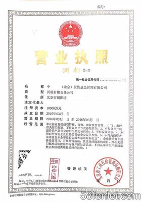 【圖】企業成立集團后的影響,成立集團公司的條件,朝陽公司注冊 - 58分類網